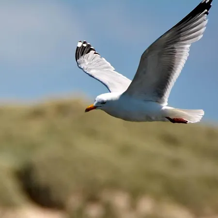 度假居 6 Person In Hemmet-by Traum